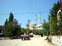 Bergama-Bağdüzü Köyü