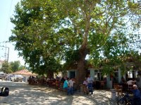 Bergama-Bağdüzü Köyü