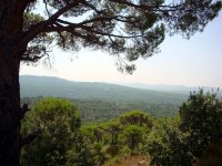 Bergama-Kozak Yaylası