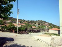 DSC02604