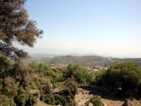 DSC02614