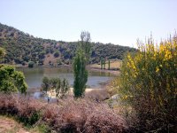 DSC02655