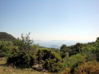 DSC02668