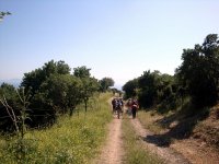 DSC02700