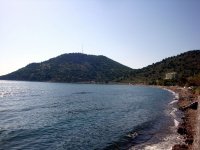 DSC02709