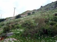 DSC03076
