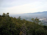 DSC03084