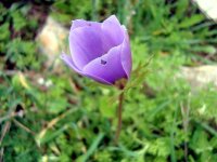 DSC03098