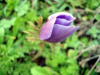 DSC03099