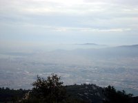 DSC03103
