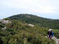 DSC03105