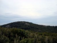 DSC03108