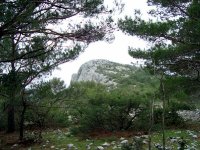 DSC03126