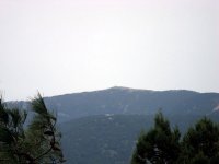DSC03129