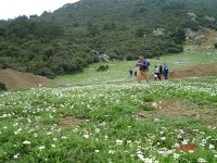 dsc015851