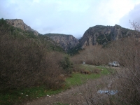 DSC09465