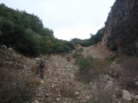 DSC09466