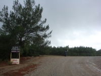 DSC09491