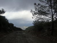 DSC09493