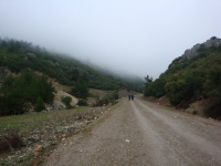 DSC09495