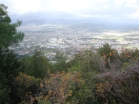 DSC09500