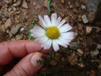 DSC09507