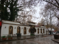 DSC09509