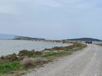 IMG_1639