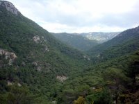 DSC02360