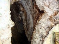 DSC02390
