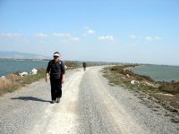 IMG_5941