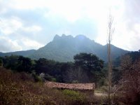 DSC02095