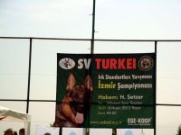 DSC02186
