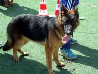 DSC02193