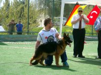 DSC02196