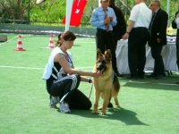 DSC02199