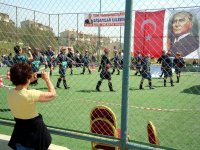 DSC02217