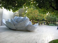 WCH-DT_044