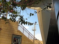 WCH-DT_069