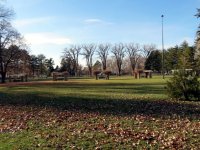 IMG_2204