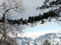 IMG_2231