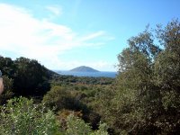 DSC05639