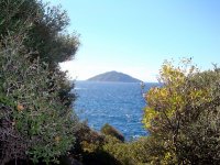 DSC05645