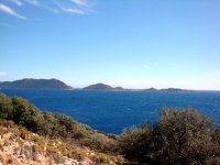 DSC05686
