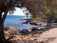 DSC05692