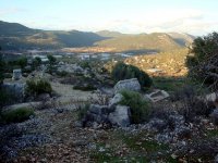 DSC05735