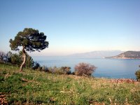Karaöz