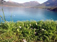 Karaöz
