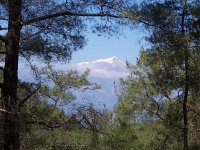 Olimpos