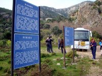 Pınara